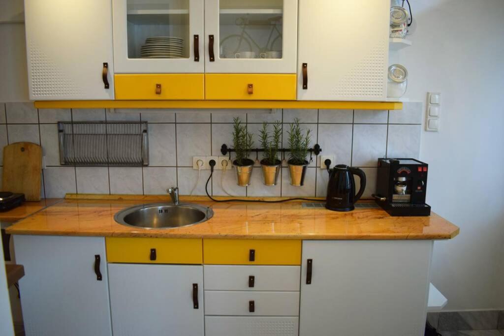 Cosy Apartment Just Next To Parliament ブダペスト エクステリア 写真